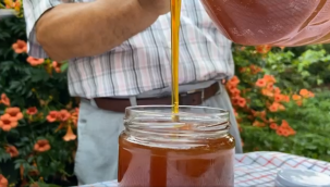 Katkısız Kestane Balı üretimi yapan Balcı Şevki Baba ile Kestane balının faydaları.