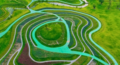 Çin’deki ormanlık alan 2022’de 3 milyon 830 bin hektar arttı