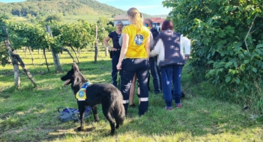 Kayıp kadın kurtarma köpekleri sayesinde bulundu