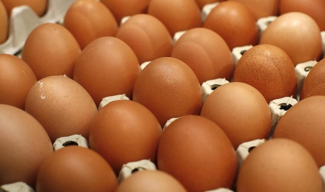 ‼️Avusturya’da yumurta sıkıntısı baṣladı. Paskalya’ya kadar devam edecek